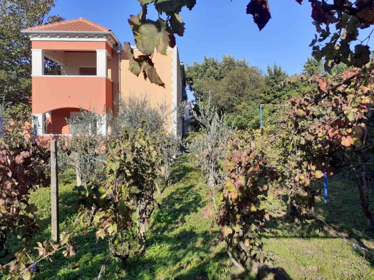 Apartments Rolovina Tivat Extérieur photo