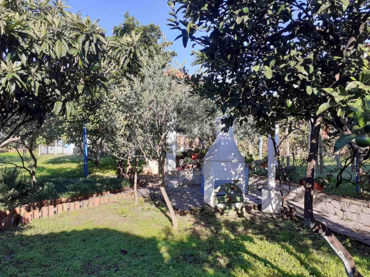 Apartments Rolovina Tivat Extérieur photo