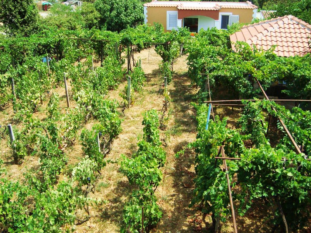 Apartments Rolovina Tivat Chambre photo