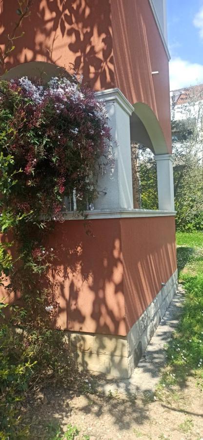 Apartments Rolovina Tivat Chambre photo