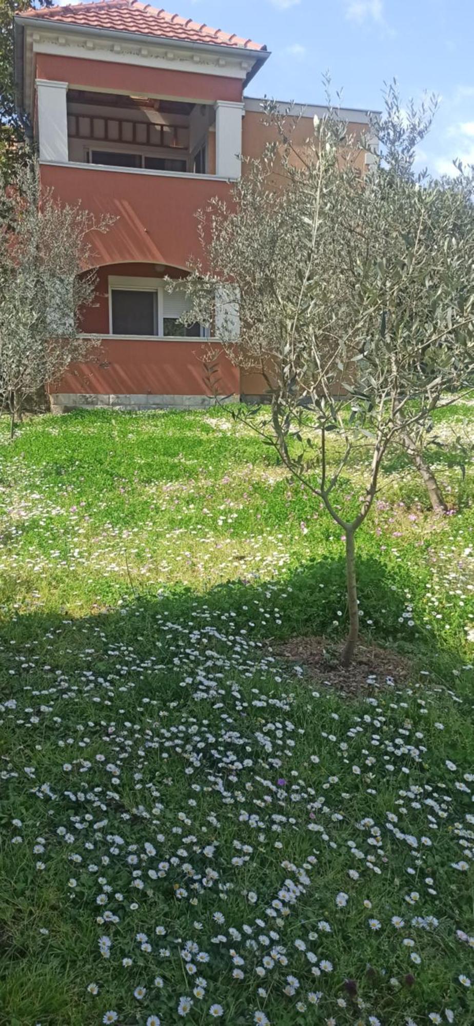 Apartments Rolovina Tivat Chambre photo